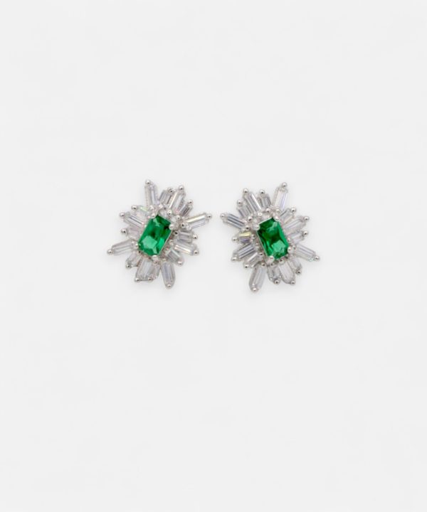 Silver Earrings - T00303