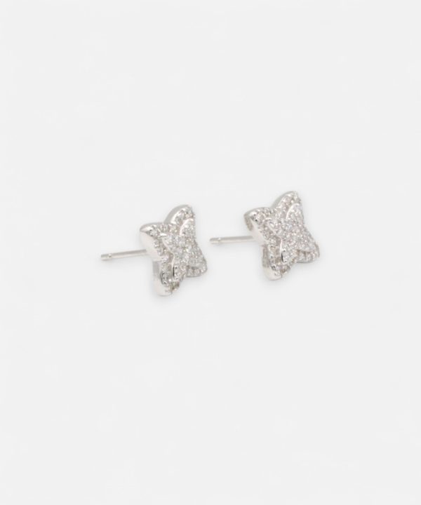 Silver Earrings - T00304