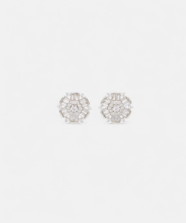 Silver Earrings - T00031