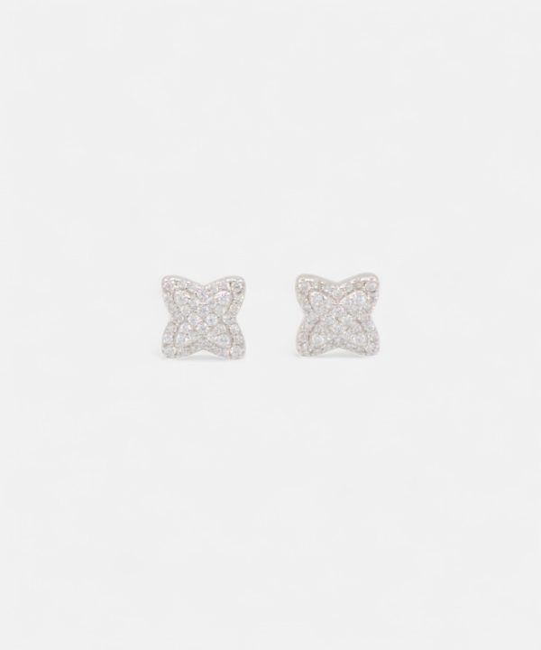 Silver Earrings - T00304