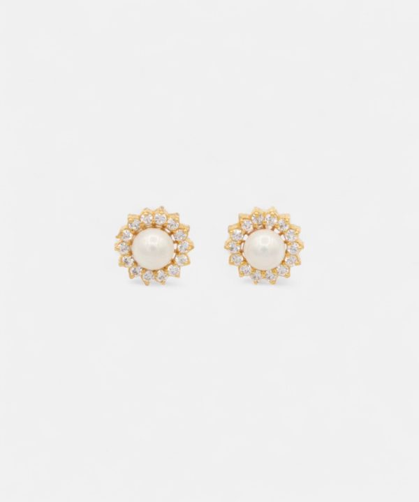 Silver Earrings - T00293