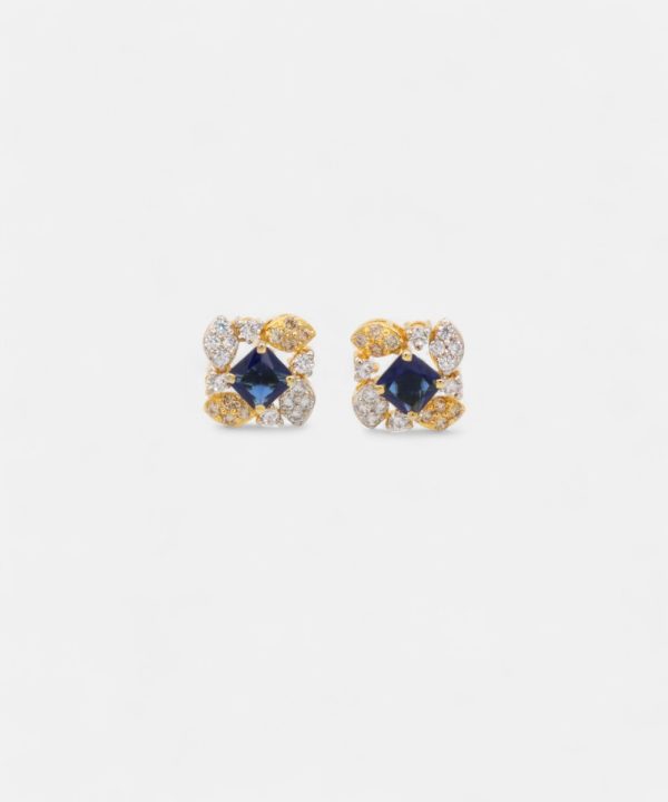 Silver Earrings - T00285