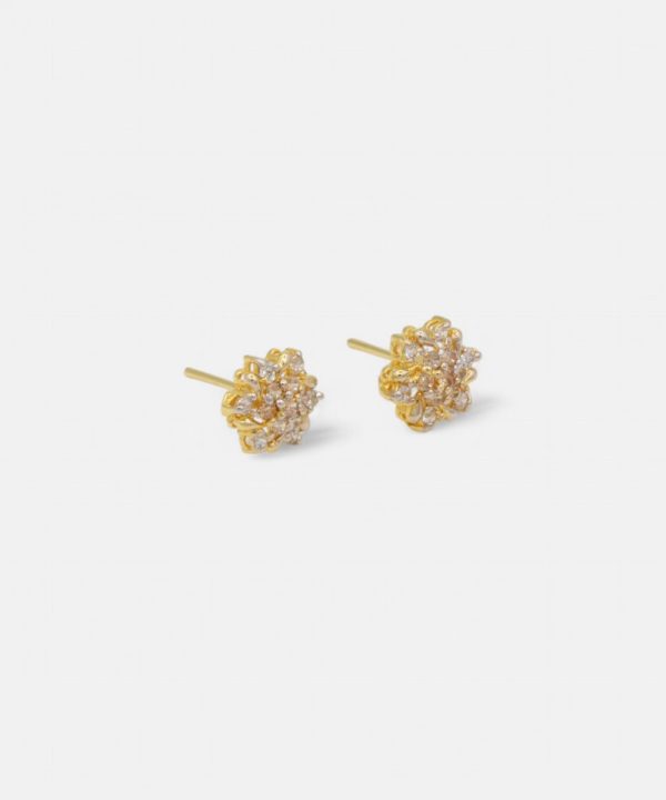 Silver Earrings - T00204
