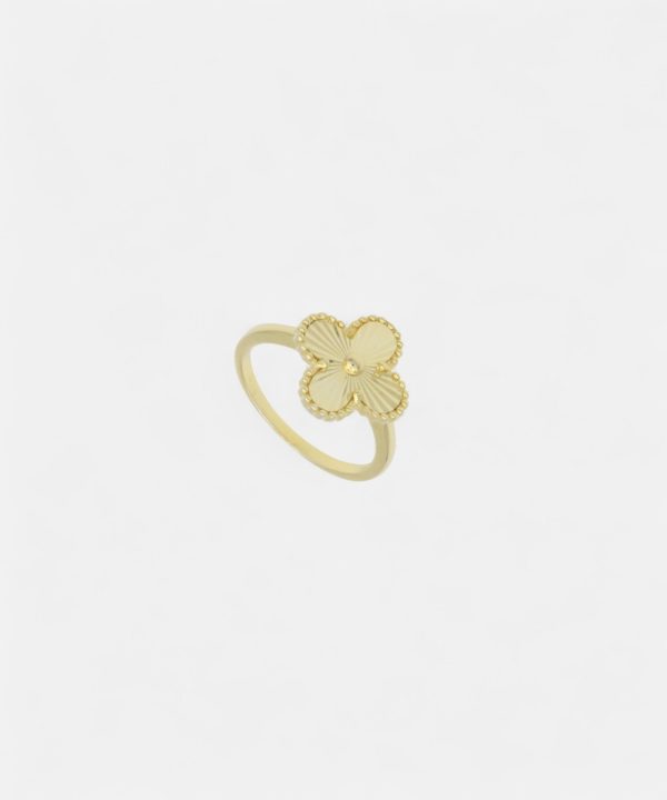 Silver Ring - R00037