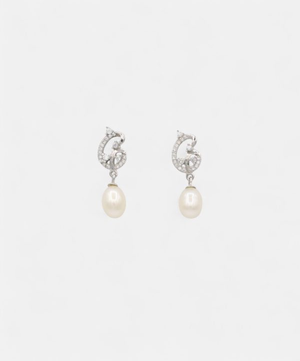 Silver Earrings - T00344