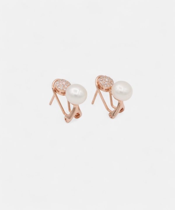 Silver Earrings - T60