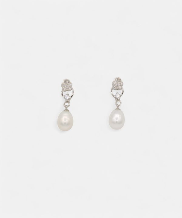 Silver Earrings - T00062